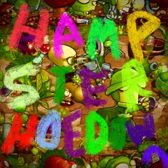 Hamster Hoe-Down: Feat “Cozmic Fuzzball”