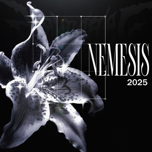 NEMESIS (my part)