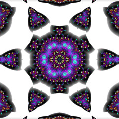 N 315 J L L FLS