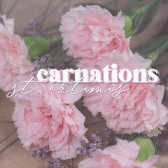 carnations