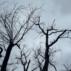 vofract 2024 ID Showcase