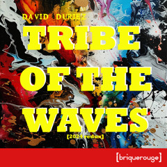 03-David Duriez -Tribe Of The Waves (LnS Remix)
