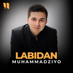 Labidan
