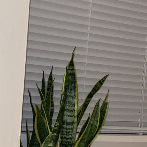 I don’t know if I want to take my healing out on you