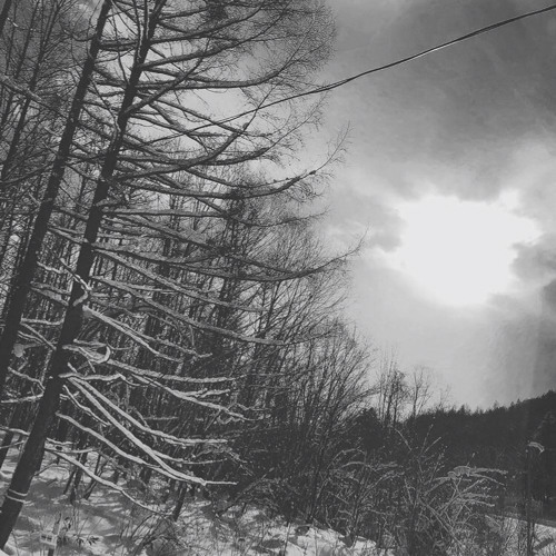 하루의 끝 - 부뚜막고양이(양요섭) / 복면가왕