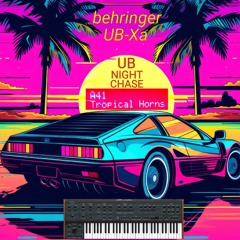 FLORIDA UB NIGHT CHASE