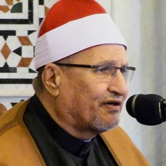 الشيخ محمد عبدالوهاب الطنطاوي آيات من سورة الرعد