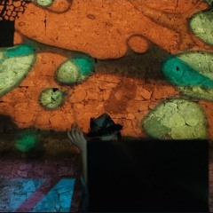 Ascension vers la Planète Sauvage 2025