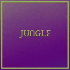 Jungle - Back on 74 (Mr Jennings MOAR JUNGLE flip)