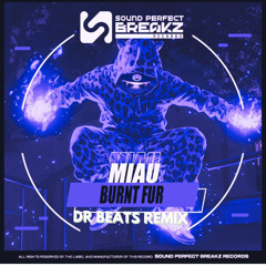 Miau  - Burnt fur - DR BEATS Remix