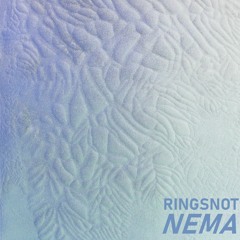 Ringsnot - SS02