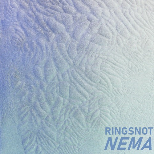 Ringsnot - Sailor