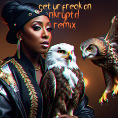 Get Ur Freak On | Missy Elliott (NKRYPTD REMIX)