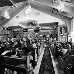 Staten Island Evlogite & Aripsalin