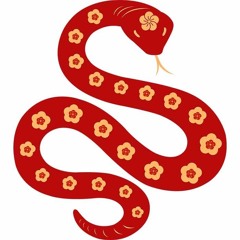 Year of the Snake 20241127.mp3