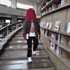 Michigan Flow X3NO IV