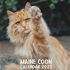 ((Read PDF) Maine Coon Cat Calendar 2023: 2023 Calendar 12 Months Home &amp Office Organizer | Cats