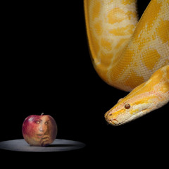 Temptation
