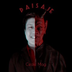 #PAISAJE - VICENTICO (Ceale Mag Version)