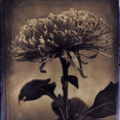 𝐿𝑎 𝐿𝑎 𝐿𝑎𝑛𝑑