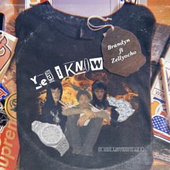 Yea I Know ft. Zellyocho