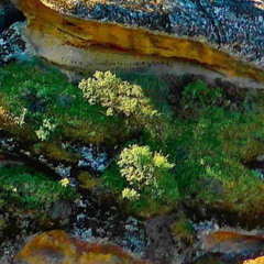 Zen Wertschätzung 1