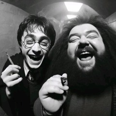 HP  ARMY