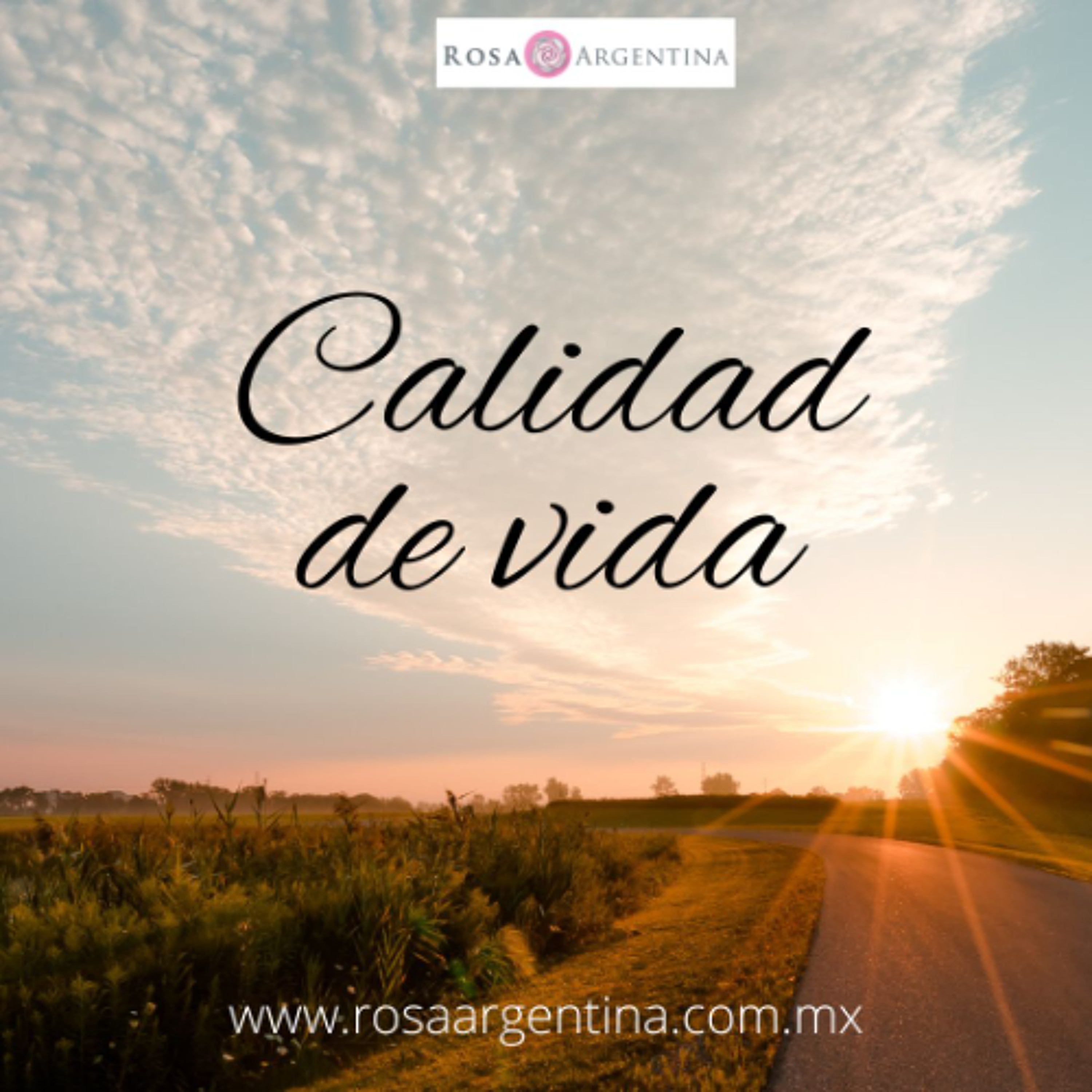 CALIDAD DE VIDA
