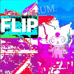 SPECTRUM. flip