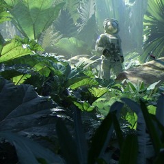 Jungle Space
