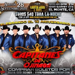 LOS CAPITANES DE OJINAGA MIX - SONIDO LOVE SPY