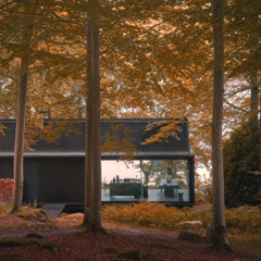 From the forest to the sheds