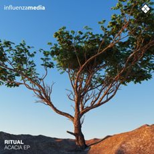 Ritual & Alpha Rhythm - Bliss
