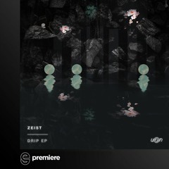 Premiere: ZEIST - Drip - Understated @ Nite