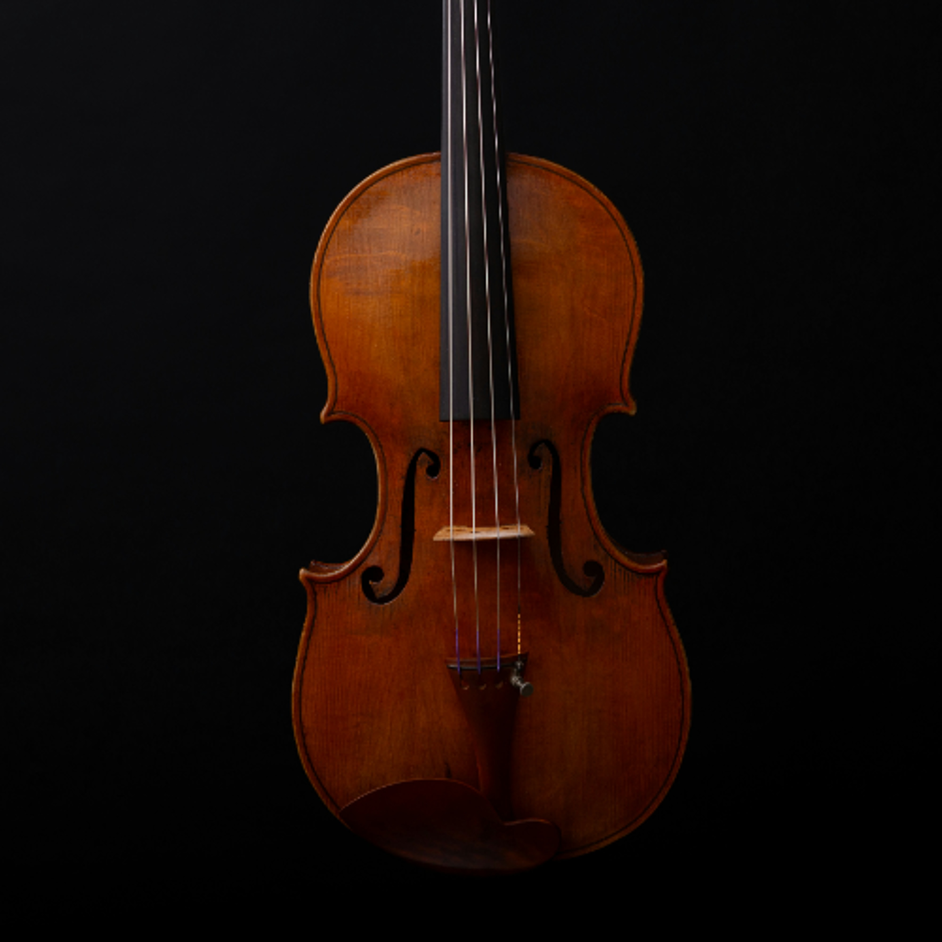 Madison Cello Ensemble welcomes all