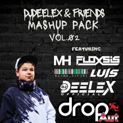 DJDEELEX & FRIENDS MASHUP PACK VOL.02 (MINIMIX)