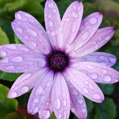 Declutter Your Mind And Let It Go