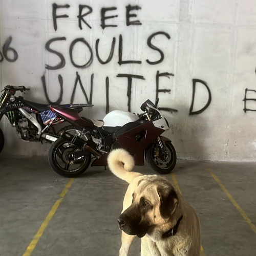 FreeSoulsUnited Closing 19.08 rave W/Ceejay