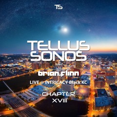 Brian Flinn - Tellus Sonos Chapter 18