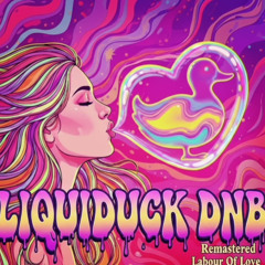 Liquiduck - Labour Of Love
