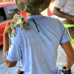 AMAR AMEI GOSTAR GOSTEI vs BEAT RISADA