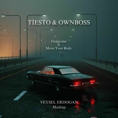 Tiesto & Ownboss - Grapevine X Move Your Body (Veysel Erdogan Mashup)