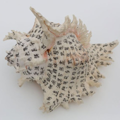 sleep ; ; 144.267bpm