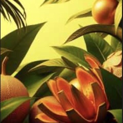 Tropical Luxury (Extended Club Edit).wav
