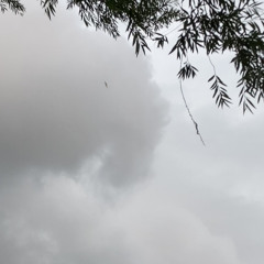 the reckless driver (demo) [prod. Splashgvng]