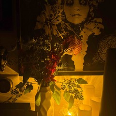 Dia De Los Muertos 2025/11/1