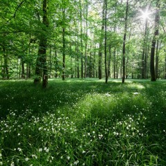 アルブラク--アルブラッセルダム background music for youtube videos FREE DOWNLOAD