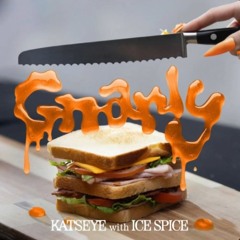 GNARLY (REMIX) Ice Spice's Verse *LOOP*