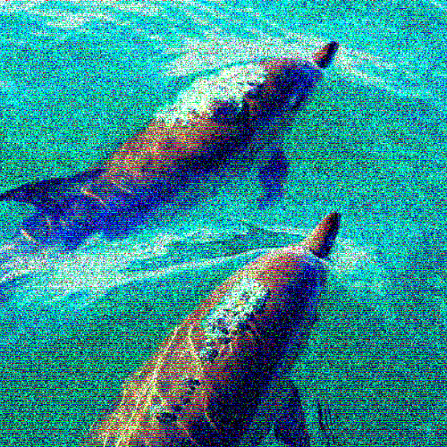 Echowaves