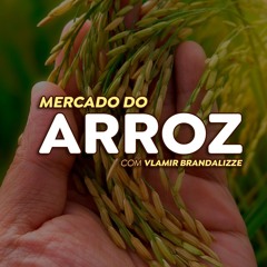 Preços do arroz vão subir após Semana Farroupilha no RS?